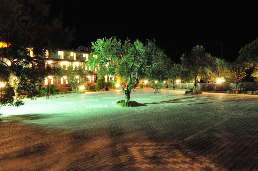 Assos Park Hotel エクステリア 写真